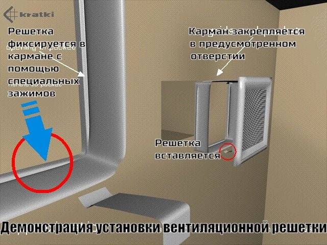 11x24 Venus белая