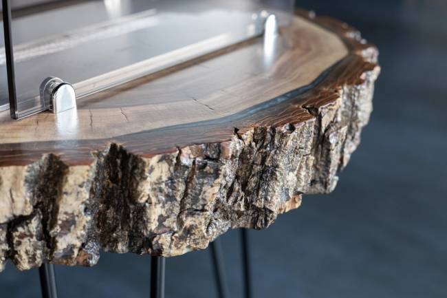 Catterheim Forest Catterheim Forest